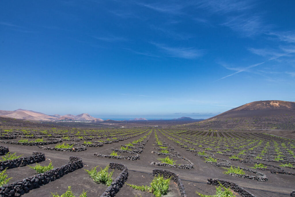 la geria, lanzarote, canary islands